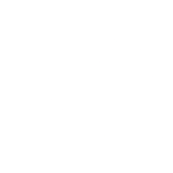 Gorilla Technology Group Inc. Ordinary shares Share Price
